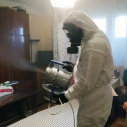 Дезинфекция от клопов в Липицах