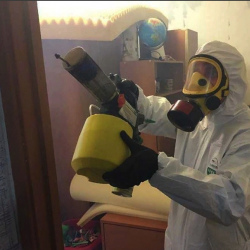 Уничтожение клопов в квартире. Липицы